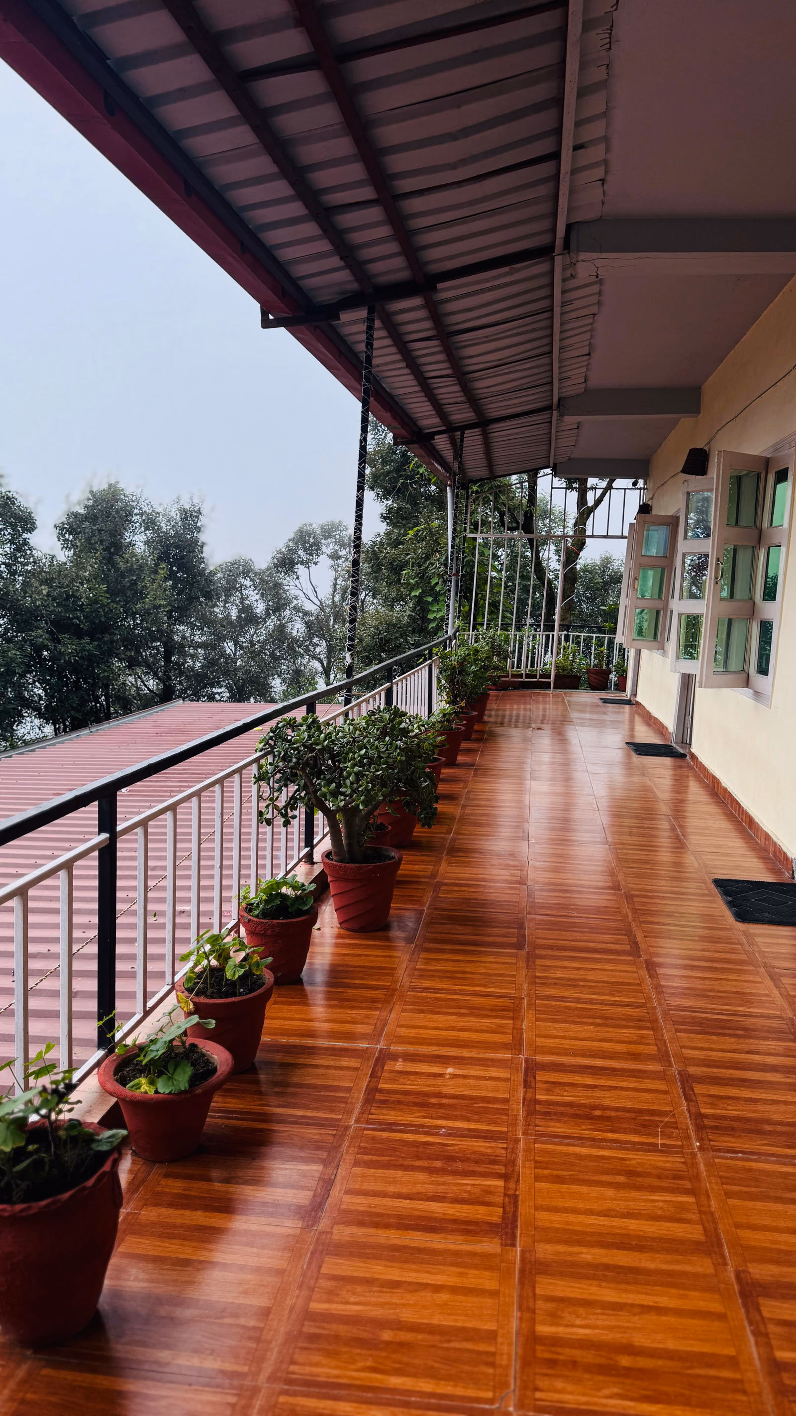 The planted balcony walkway outside the Deluxe rooms